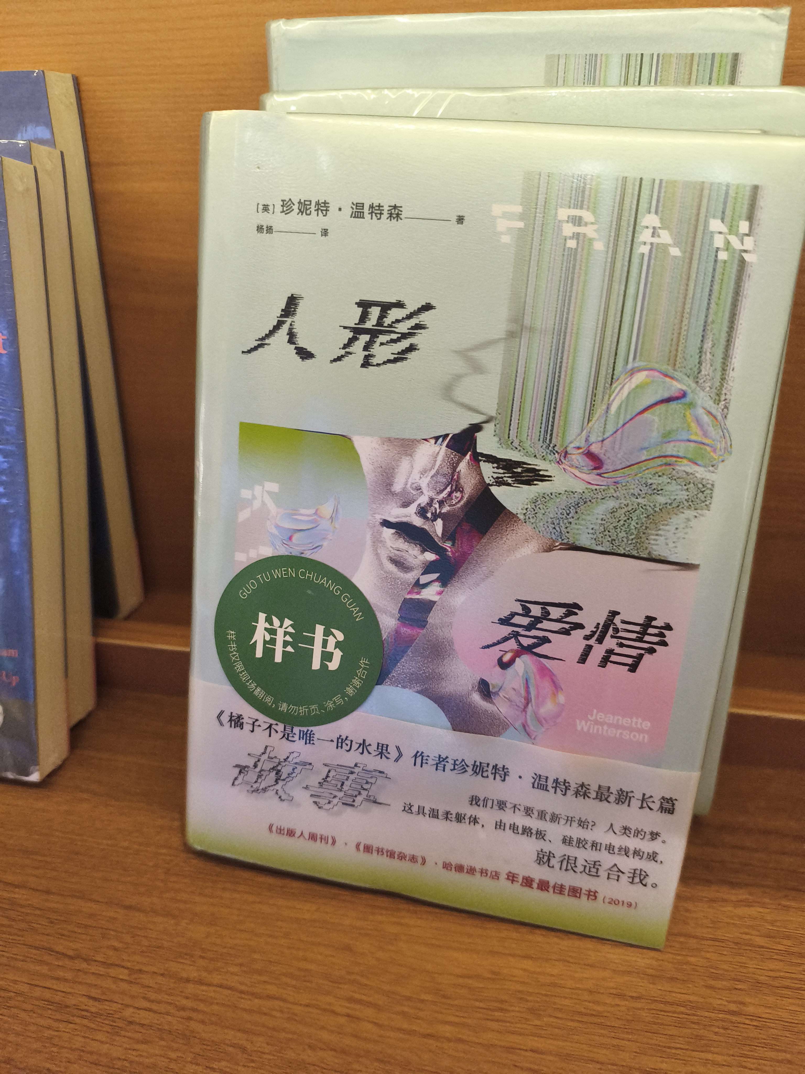 浣熊元宝照片 2
